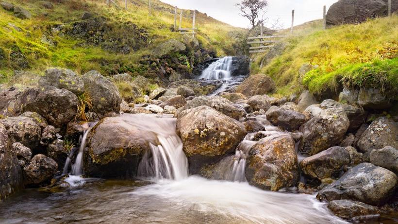 处女座|八月，繁花似锦，这些星座终于迎来了春天