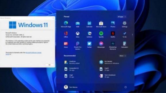 苹果|反击有效果了？美企接连宣布新决定，外媒：这是怂了？
