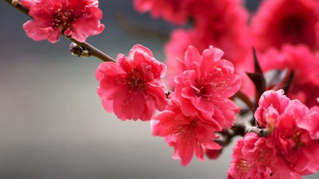 高跟鞋|恭喜了！虎年整体实现大增，心中烦恼减少，赚得家缠万贯的生肖！