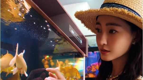 王丽坤|37岁王丽坤分享夏日照，穿着时尚逛菜市场，被赞接地气