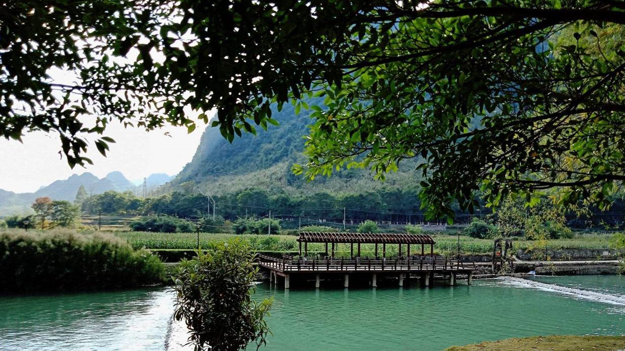 河津樱|游览巴马长寿村，欣赏绝美的山水田园风光，了解特有的长寿文化