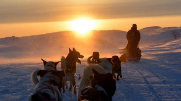 欧洲旅游|挪威希尔克内斯享受“狗雪橇”漫游