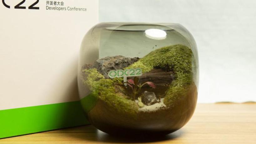 |前段时间，谷歌公司为自家的Pixel手机推送了Android 13正式版