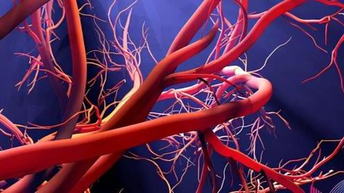 尿毒症|血栓“清道夫”公布了？芹菜排第4，第1名建议多吃，建议了解下