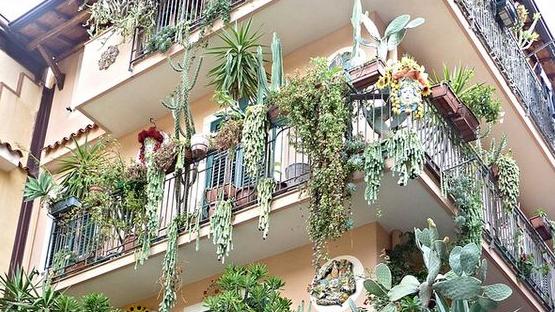 绕着阳台护栏这么做，比封了还靠谱，养花种菜颜值高还能遮私隐！