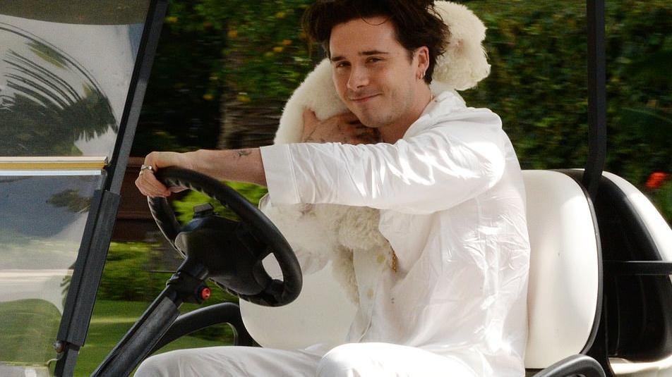 哈珀·贝克汉姆|10岁小七戴花环成最胖伴娘！罗密欧和囧三穿西装当伴郎，比新郎还帅