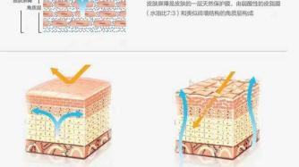 护肤 玛恩医生 屏障受损就大量补水，小心进入护肤雷区！