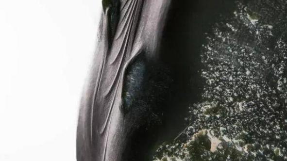 雕刻|玉石雕刻名家作品集——观其形，悟其道