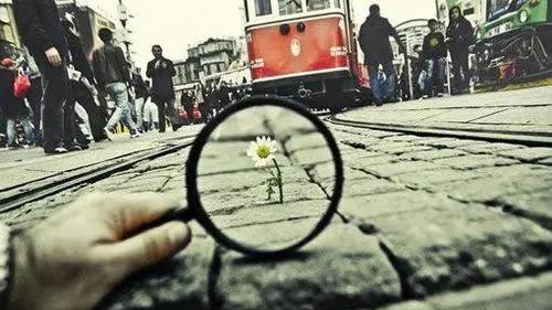 |龙吟师傅教你从八字看自己适合选择公职还是自由职业