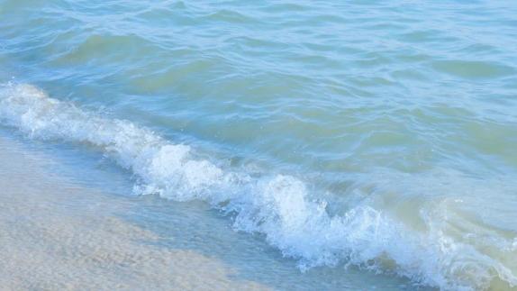 龙华|海边文案丨撞进夏日的海风里。