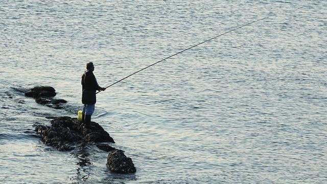 |死鱼正口收竿快走？是水猴子作祟还是另有说法？看看钓鱼名师邓刚的解读