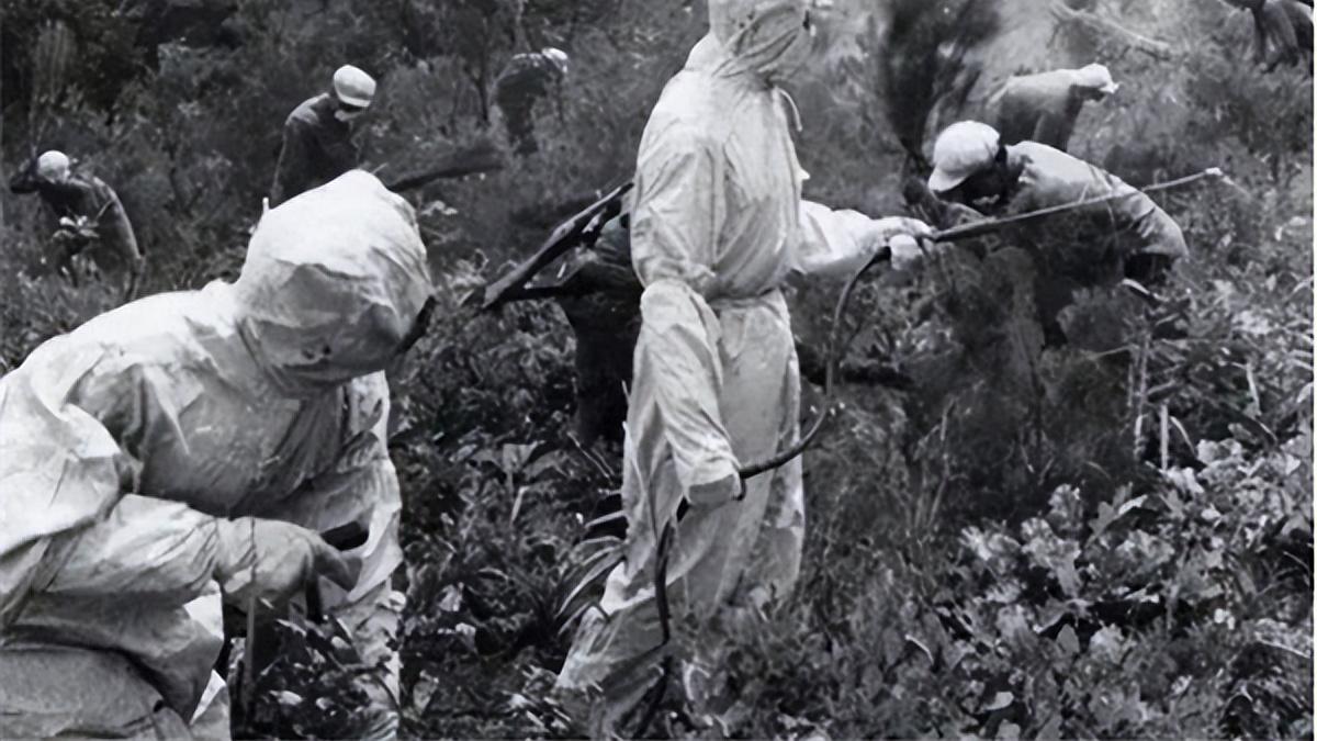 疯狂|人造酒窝风靡古今，西方人造酒窝相当疯狂，爱美要付出巨大代价