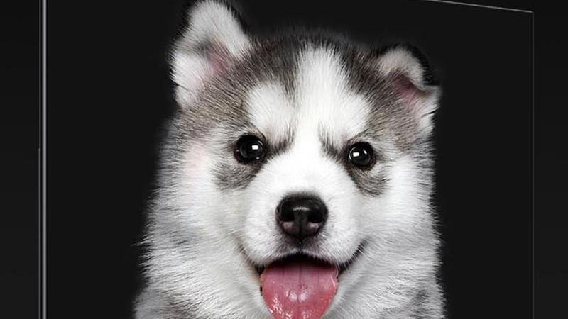 小米科技|这三款75英寸性能爆爽的电视，想换电视速来围观