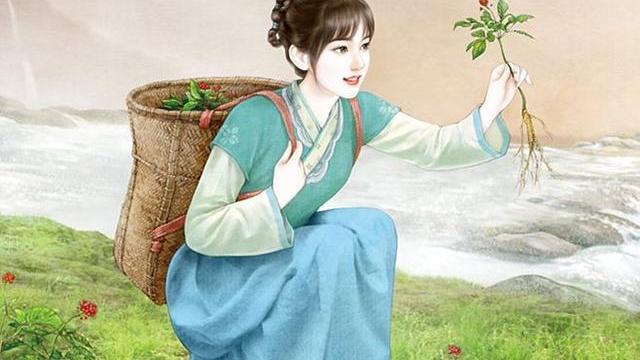 生菜|五本古代美食文推荐：舞起大勺，用出神入化的厨艺征服高冷的男主