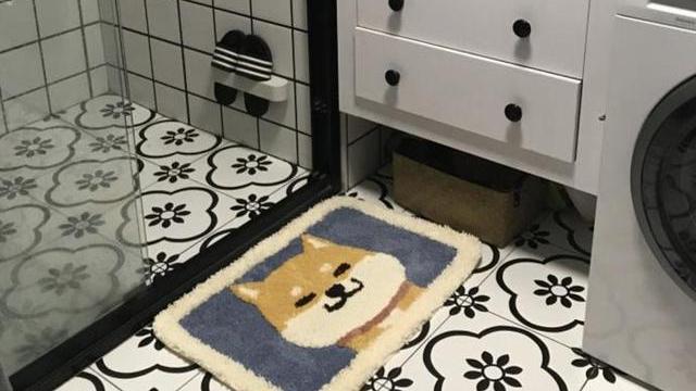 南北方生活有何差别？从卫生间细节就能看出，差距真不小！