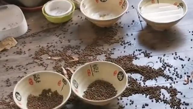 南京|上海一女子时隔俩月回办公室，推看门气疯转头乐疯：它竟然还活着