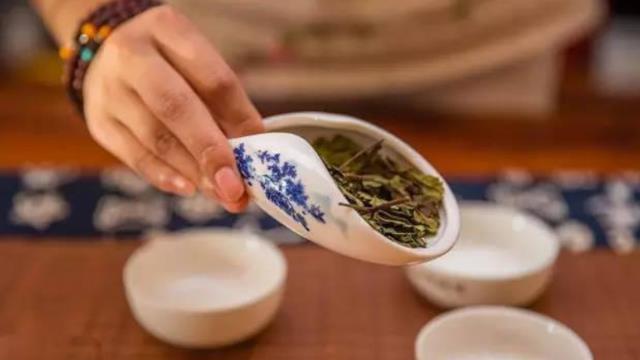 茶叶|长期喝茶，究竟是“养生”还是“养癌”呢？试验告诉你真实答案