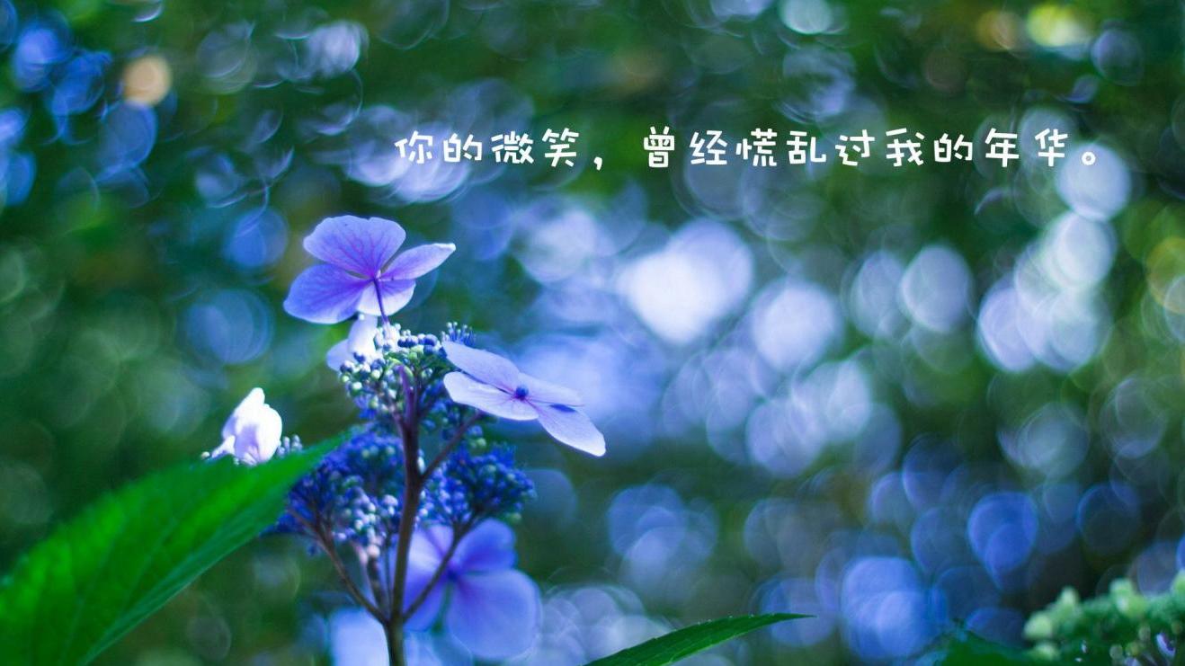 |如果我们还爱着他的脸，我想你应该还会原谅他的吧？