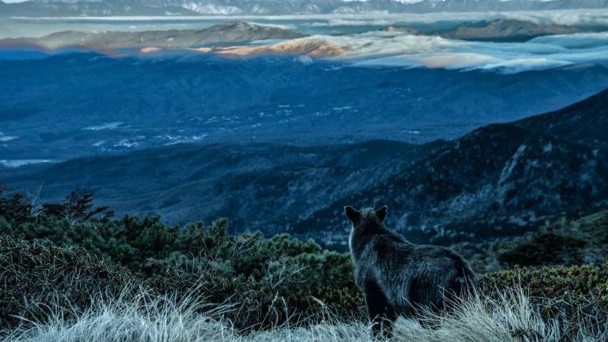 零售业|家电业零售为王还要掌握“三把刷子”