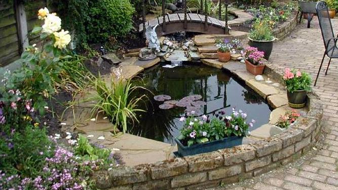 家里有庭院，一定要这样设计个鱼池！寓意富贵有余，这钱花值了！