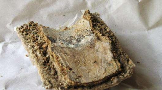 原来马桶堵了只要一壶开水就能搞定，知道太晚，浪费不少钱！