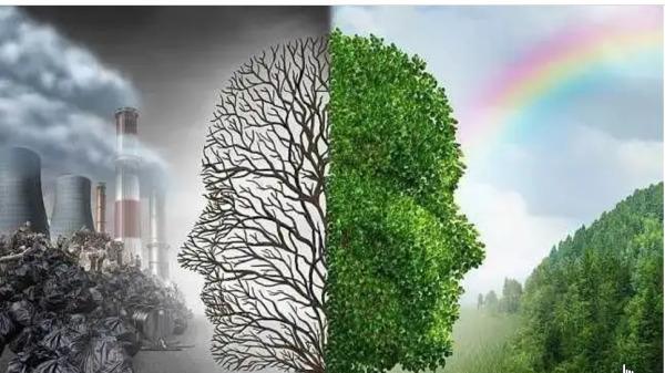 蒂姆·邓肯|【职场家庭丨疫情下，我们普通人最需要思考的一个问题