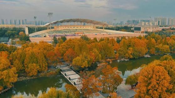 郑州大学一学生向辣条一哥求助，结果喜从天降，一车辣条送进校园