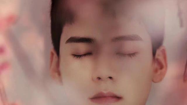 高圆圆|夜里聆听龚俊《野兽的花》