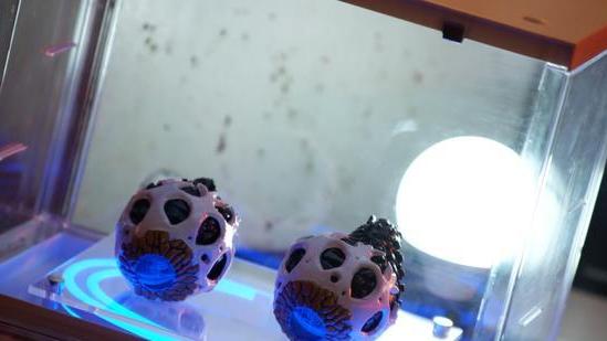 acgn漫评|假面骑士revice剧场版外传：基夫结局透露被揍到只剩下俩眼球