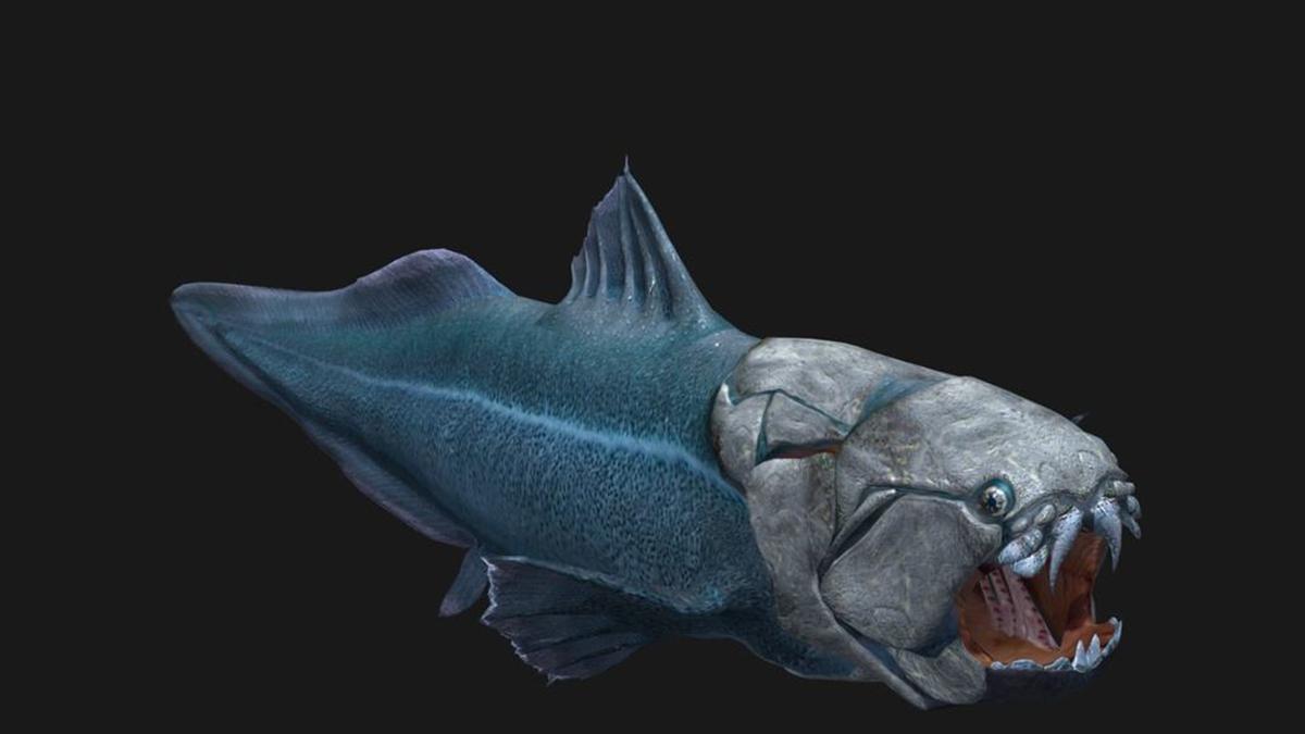 奇闻：邓氏鱼，没有天敌的生物，咬合力达5吨，能将岩石咬成粉末