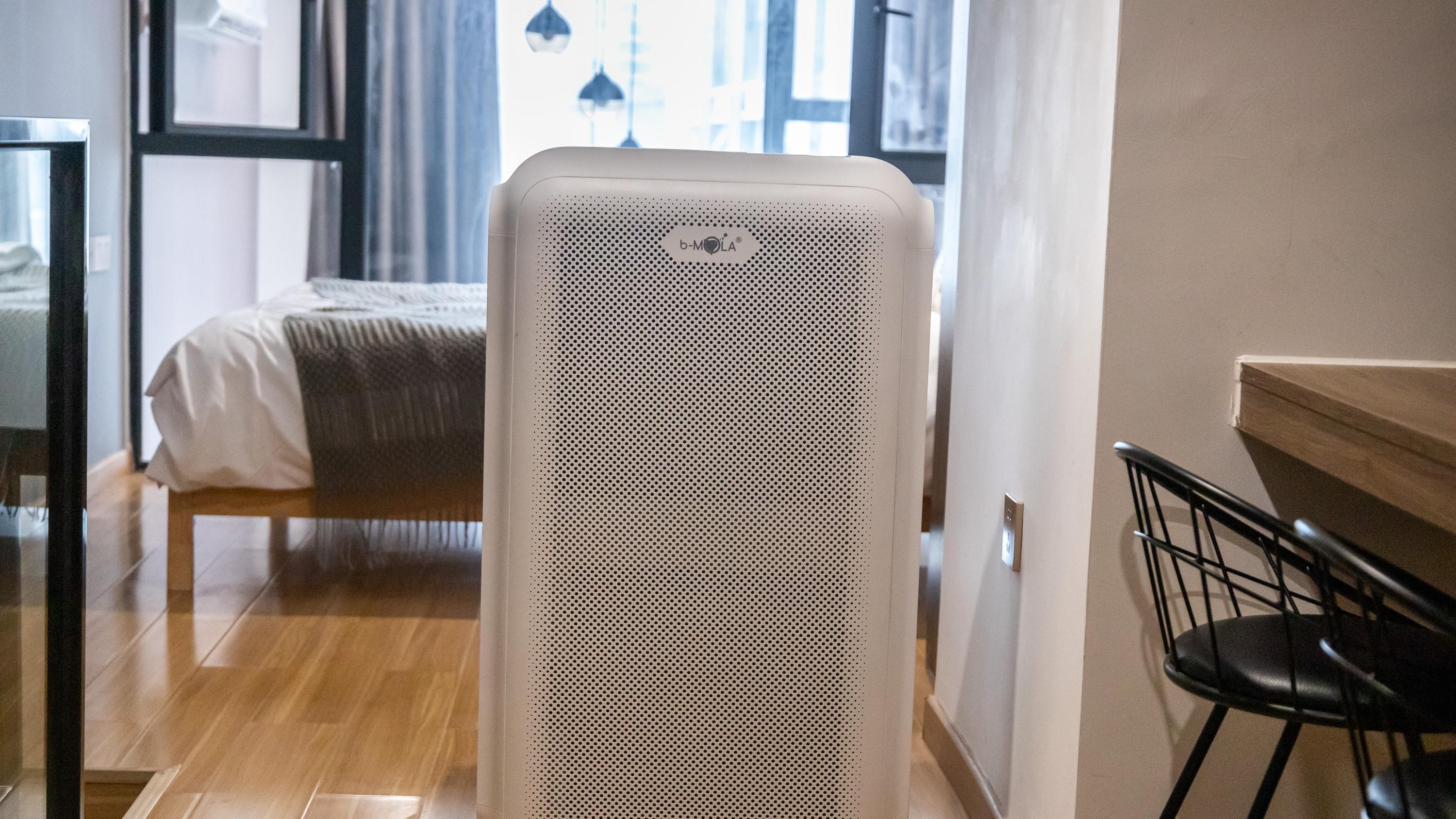 家里有易敏人群怎么装修？建议控制3个细节，日子越过越舒坦