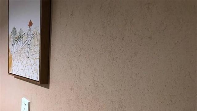 全屋做硅藻泥并没有那么神，这才住了一年，果断砸掉改刷大白墙