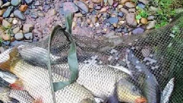 |终于等到爆护天，夏季钓鱼，一定要抓住这几个天气，请假也得去