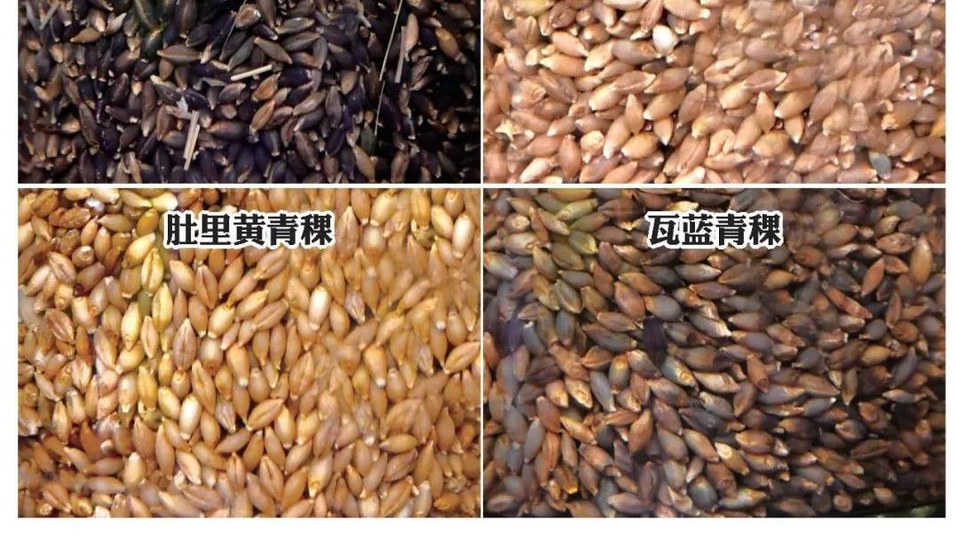 皮蛋|李寻的酒吧：威士忌的原料都有哪些？