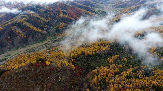 无锡|山西有一自然景区走红，森林覆盖率达86%，堪称是“天然氧吧”