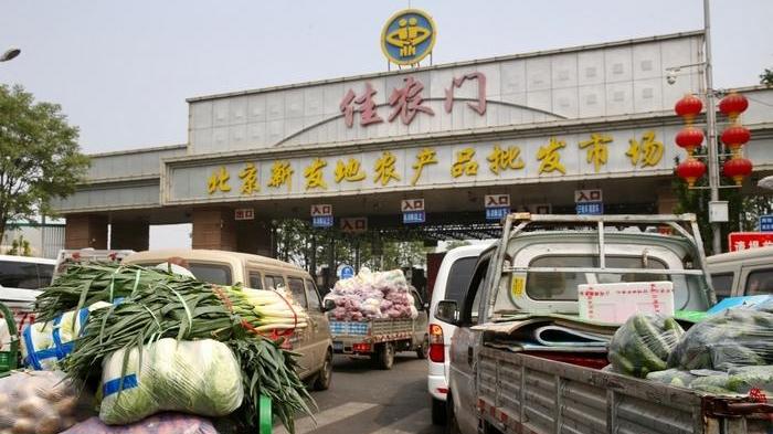 蚕豆|快吐了！囤菜北京人：菜汤加肉，喝了三天