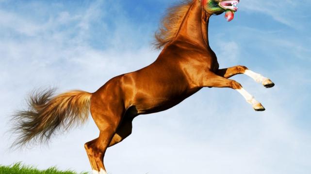 属马|3月份运势得到扭转，有了大好财运的提携，属马人在职场事半功倍