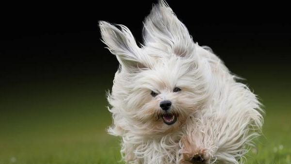 骨质疏松|当听到指甲划黑板的声音时就狂躁，为什么？原因大多数人都没想到