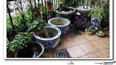 阳台建个鱼池可溜了，来个客人就往阳台看，个个都想回家装一个！