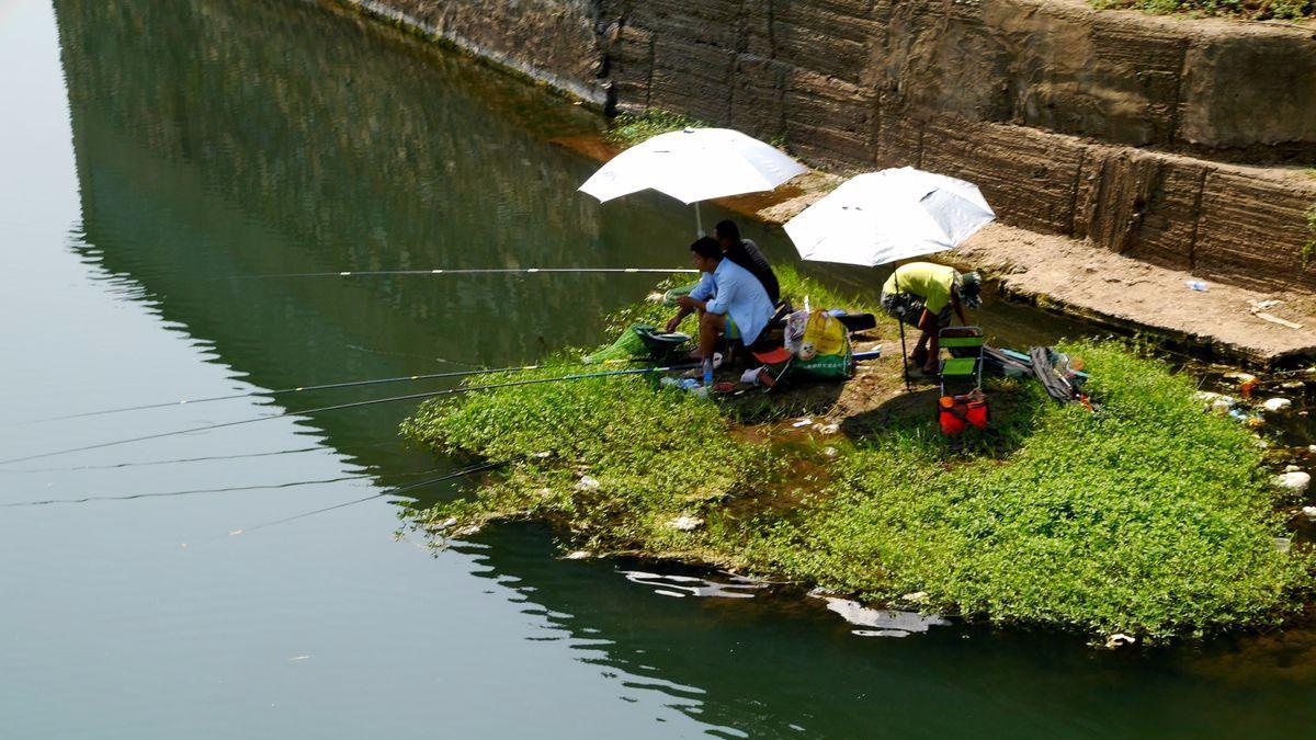 |春钓用鱼竿，到底用长竿好还是用短竿好，不妨参照这两个因素