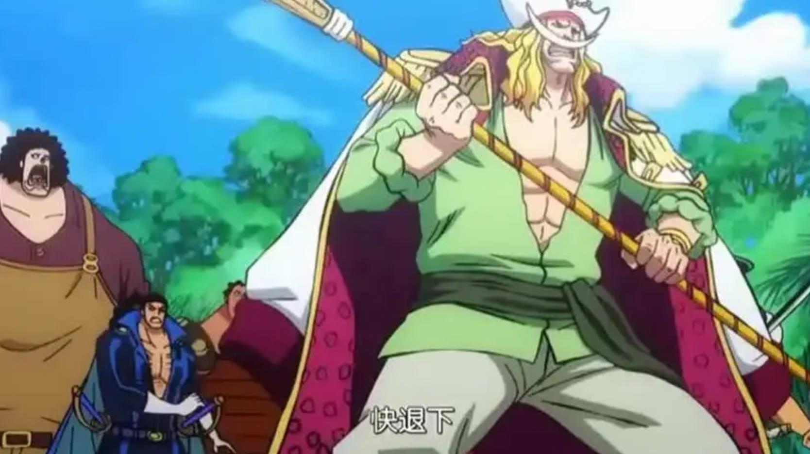 acgn漫评|白胡子到底得了什么病？怎么总是和红发见面时打着吊瓶？