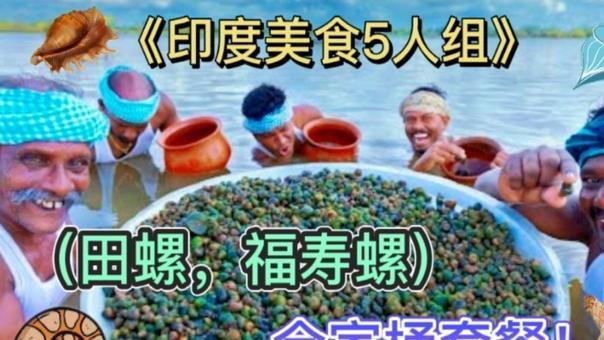 福寿螺造成我国损失3个亿，为何却在印度成了香饽饽？还被当饭吃