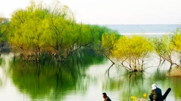 |今年初春鲫鱼难钓？遵守这三个原则，大概率能从“空军”退役