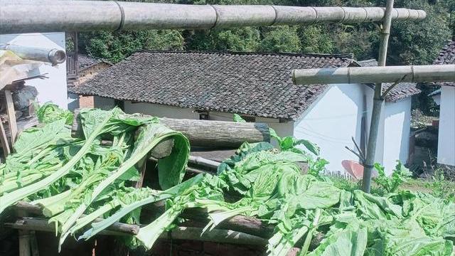 黄瓜|江西女子继承奶奶的厨艺，做了一桌子菜，网友：做得好下次别做了