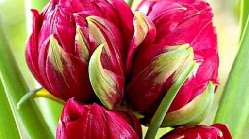 韶关|哪些日子出生的人，大胆有冲劲，新年好运，成长空间广阔有后劲