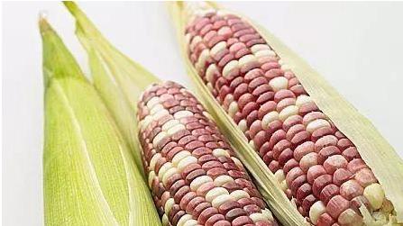 扎心 饭后这6个习惯是“发胖”的根源，若占了一个，一定要戒掉！