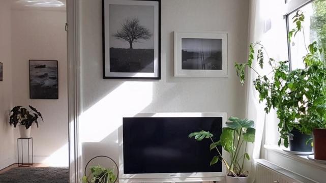 这对夫妻的家太美了！全屋朴素贴近自然，随手一拍就堪比艺术大片