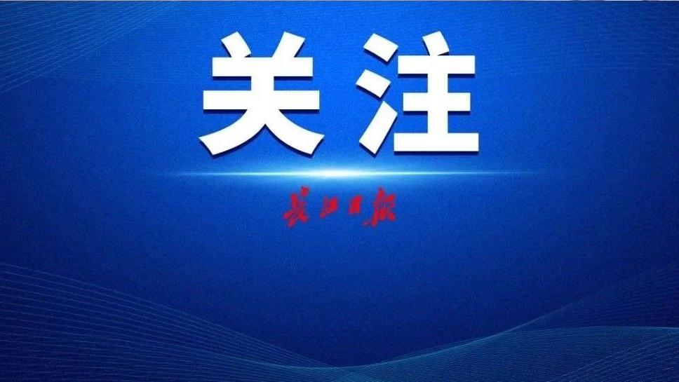 武汉|首份武汉人工智能产业库报告发布，23家人工智能企业营收过亿元