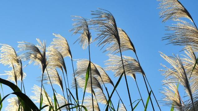 在我做全职宝妈最黑暗的时候，是自媒体创作给了我自信