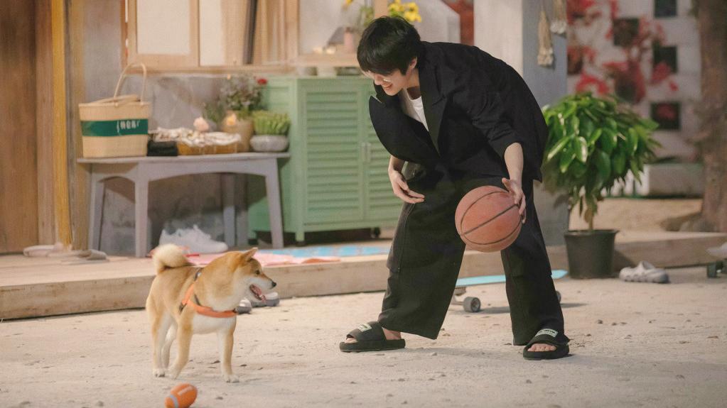 刘昊然|好可爱！《向往的生活》刘昊然追着小H道歉，口误说自己是好狗